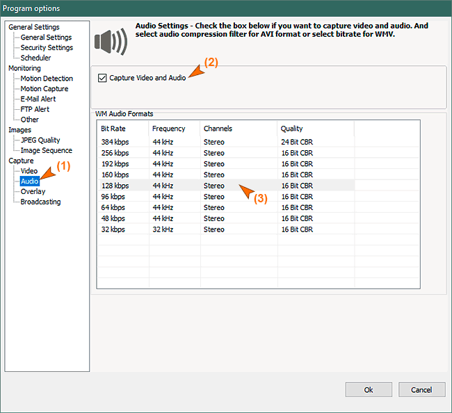 Audio settings for WMV format